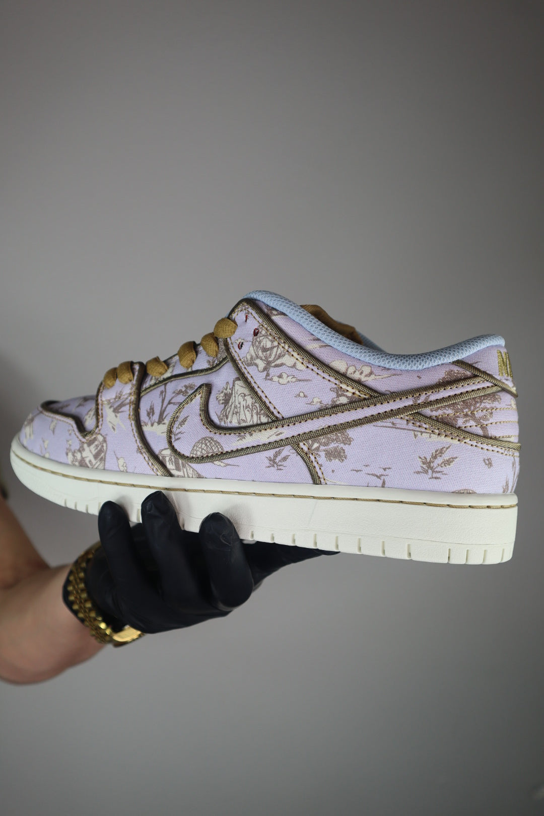 Nike Dunk Sb City of Style