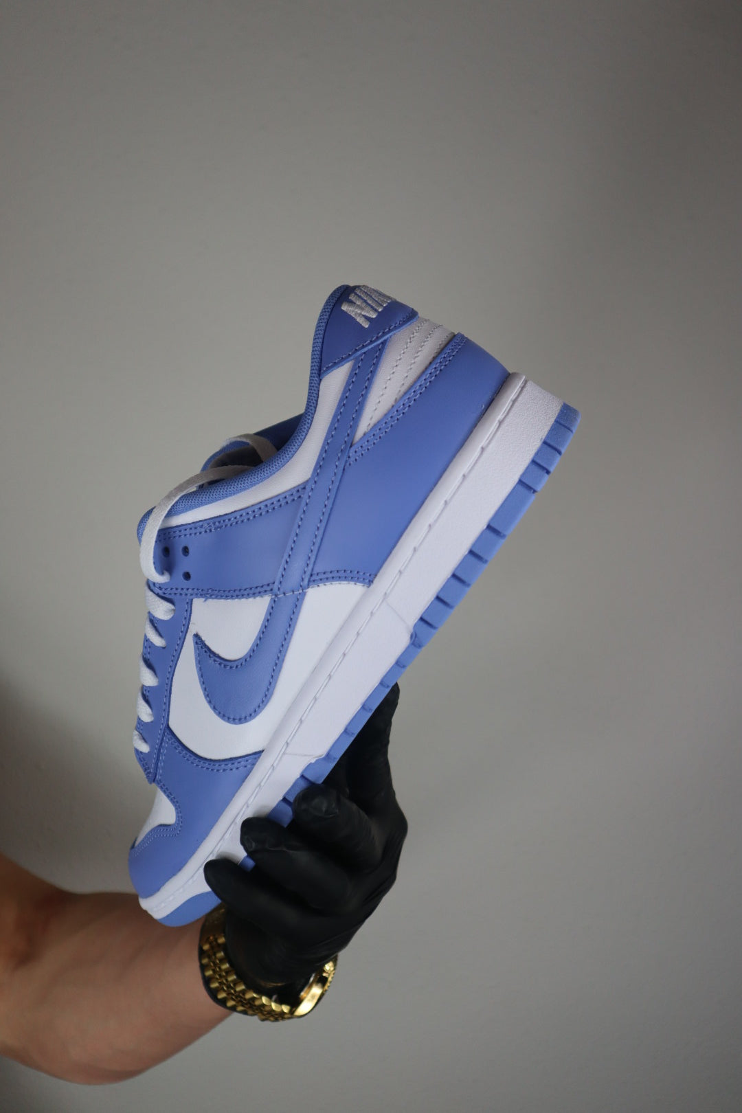 Nike Dunk Low Polar Blue