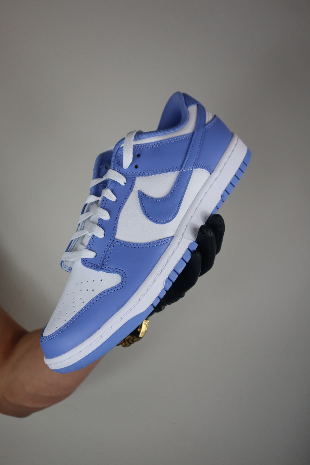 Nike Dunk Low Polar Blue